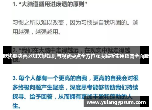 欧协联决赛必知关键规则与观赛要点全方位深度解析实用指南全面版